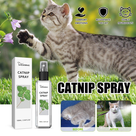 Darrahopens Pet Care > Toys > Cat Toys Catnip Spray Relieves Cat Anxiety Boosts Vitality Pet Health Care Natural Spray