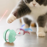 Darrahopens Pet Care > Toys > Cat Toys Electric Automatic Moving Rolling Dog Toy Interactive Dog Ball Toy Green