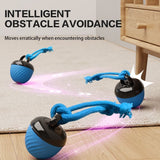 Darrahopens Pet Care > Toys > Cat Toys Electric Rolling Pet Ball for Cats and Dogs, Durable, Chew-Resistant, Rope-Knot, Squeaky, and Glowing Toy - Blue