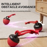 Darrahopens Pet Care > Toys > Cat Toys Electric Rolling Pet Ball for Cats and Dogs, Durable, Chew-Resistant, Rope-Knot, Squeaky, and Glowing Toy - Red