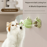 Darrahopens Pet Care > Toys > Cat Toys Green 4 Pack Hedgehog Catnip Toys Self Grooming Face Scratcher & Teething Chew Toy Soft Rubber Interactive Play Set for Kittens