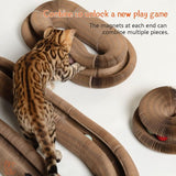 Darrahopens Pet Care > Toys > Cat Toys Magic Organ Interactive Scratching Toy - The Ultimate Interactive Mental And Physical Exercise For Indoor Cats