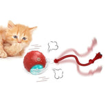 Darrahopens Pet Care > Toys > Cat Toys Motion Activate Interactive Cat Toy Rechargeable Smart Rolling Ball with Rope Red