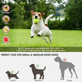 Darrahopens Pet Care > Toys > Dog Toys Automatic Pet Ball Launcher Toy with 3 Smart Launch Modes, Built-in Li-ion Battery & USB Charging, Long Battery Life, Indoor/Outdoor Use, Perfect Interactive Training Toy for Small and Medium Dogs.(aqua)