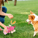 Darrahopens Pet Care > Toys > Dog Toys Dog Toys for Aggressive Chewers - Squeaky Toys to Keep Dogs Busy Style 2