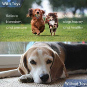 Darrahopens Pet Care > Toys > Dog Toys Dog Toys, ROpe Dog Toys, Chew Toys, Interactive Dog Toys, For Small/Medium Dogs (4 Pieces)