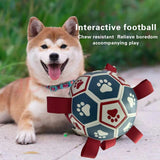 Darrahopens Pet Care > Toys > Dog Toys Interactive dog soccer with air pump-heavy rubber tug-of-war toy, with paw print design, non-toxic blue orange ball, suitable for large/medium dogs, strong chewers, catching and training-suitable for all breeds and sizes, durable and safe, ideal for puppi