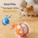 Darrahopens Pet Care > Toys > Dog Toys Smart Self-Rolling Pet Toy, Durable Chew Ball for Cats and Dogs to Keep Themselves Entertained - Blue