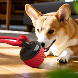 Darrahopens Pet Care > Toys > Dog Toys Squeaky Rolling Ball Dog Toy - Interactive Motion-Activated Chew Toy for Dogs Red