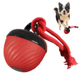 Darrahopens Pet Care > Toys > Dog Toys Squeaky Rolling Ball Dog Toy - Interactive Motion-Activated Chew Toy for Dogs Red