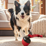 Darrahopens Pet Care > Toys > Dog Toys Squeaky Rolling Ball Dog Toy - Interactive Motion-Activated Chew Toy for Dogs Red