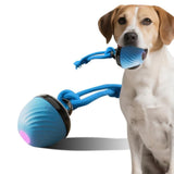 Darrahopens Pet Care > Toys > Dog Toys Squeaky Rolling Ball Dog Toy - Interactive Motion-Activated Chew Toy for Dogs Red