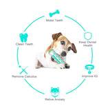 Darrahopens Pet Care > Toys > Dog Toys Tough Dog Chew Toy for Aggressive Chewers, Rubber Squeaky Toothbrush Toy, Green