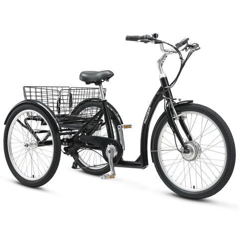 Darrahopens Sports & Fitness > Bikes & Accessories > Bicycles Progear Bikes E-Free 24" E-Trike