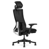 Darrahopens Sports & Fitness > Exercise, Gym & Fitness > Gym Equipment & Accessories Lifespan Fitness DM9 Ergonomic Mesh High Back Office Chair