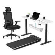 Lifespan Fitness WalkingPad M2 + ErgoDesk 1500mm White + Cable Management + DM9 Chair In Australia - Darrahopens