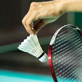 Darrahopens Sports & Fitness > Racquet Sports > Tennis 12 Pcs Badminton Shuttlecocks Durable Gooes Feather Badminton Ball For Training