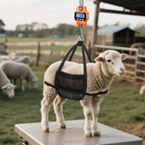 Darrahopens Tools > Industrial Tools > Measuring Tools & Sensors 660lb Digital Hanging Scale, Handheld 300Kg Mini Crane Scale with Hooks for Farm Hunting Fishing Outdoor (Orange)