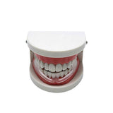 Darrahopens Tools > Industrial Tools > Work Safety Protective Equipment 2pcs Anti Snore Mouth Guard Sleep Mouthguard Teeth Grinding Guard Dental Clenching Protector