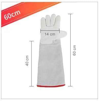 Darrahopens Tools > Industrial Tools > Work Safety Protective Equipment Low Temperature Gloves 60cm