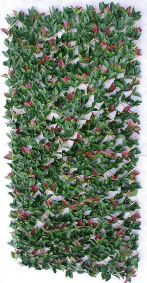 Photinia Hedge Extendable Trellis / Screen 2 Meter By 1 Meter UV Stabilised