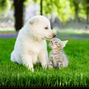 Primeturf Artificial Grass 17mm 1mx10m 10sqm Synthetic Fake Turf Plants Plastic Lawn Olive