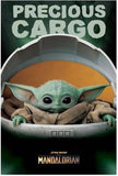 Star Wars: The Mandalorian - Precious Cargo