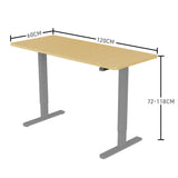 FORTIA Sit Stand Standing Desk, 120x60cm, 72-118cm Height Adjustable, 70kg Load, White Oak style/Silver Frame