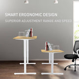 FORTIA Sit Stand Standing Desk, 140x60cm, 72-118cm Height Adjustable, 70kg Load, White Oak style/White Frame