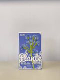 JAKI Plante de La Vie Brady’s Breath