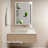 EKKIO Bathroom Vanity Mirror with Single Door Storage Cabinet (White) EK-VMS-100-LR
