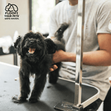 Floofi Pet Grooming Table 90cm Double Pole (Black) FI-GT-102-LZ