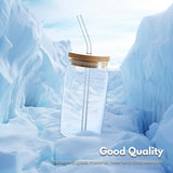 GOMINIMO 6 Pcs Clear Drinking Glasses with Bamboo Lids and Glass Straw(16 Oz ) GO-DG-100-FH