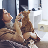 Floofi Box House White (S) - PT-PH-191-GF