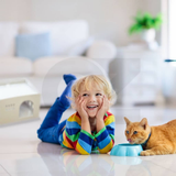 Floofi Box House White (S) - PT-PH-191-GF