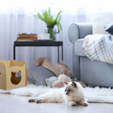 Floofi Pet House Wooden Cat Paw Shape Hole (Yellow) PT-PH-205-YS