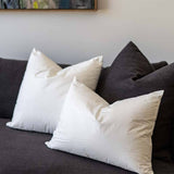 MicroCloud Cushion Insert 40cm x 55cm