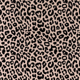 Cushion Cover-Coastal Fringe Black-Jungle Peach-35cm x 50cm