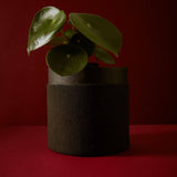 Home & Decor Australia-Darrahopens.com.au Australia Living Room Bedroom bathroom modern wall interior kitchen outdoor Furniture Bathroom Apartment luxury Mirror Table House Wedding Australia