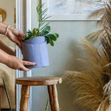 Home & Decor Australia-Darrahopens.com.au Australia Living Room Bedroom bathroom modern wall interior kitchen outdoor Furniture Bathroom Apartment luxury Mirror Table House Wedding Australia