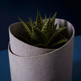 Home & Decor Australia-Darrahopens.com.au Australia Living Room Bedroom bathroom modern wall interior kitchen outdoor Furniture Bathroom Apartment luxury Mirror Table House Wedding Australia