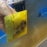 4X Minifactory Fish Tank Moss Scrubber Scraper Iron Glass Acrylic Algae Cleaner Brush