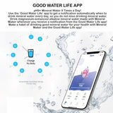 Mineral Maker MORBIDO Blue Alkaline Filter Water Bottle + a Mineral Stone Pouch