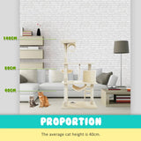 Paw Mate 140cm Beige Cat Tree Maple Multi Level Scratcher