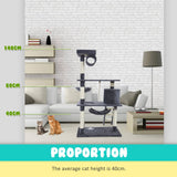 Paw Mate 140cm Grey Cat Tree Maple Multi Level Scratcher