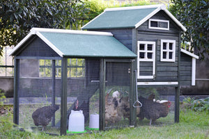 XL Chicken Coop Rabbit Hutch Guinea Pig Cage Ferret House