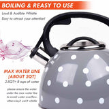3 Liter Tea Whistling Kettle Stainless Steel Modern Whistling Tea Pot for Stovetop