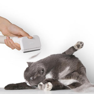 PIDAN Pet Brush - Deshedding - Cat
