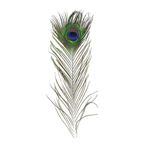 5-10PCS Natural Peacock Tail Eyes Feathers 75-80cm 26-30cm DIY Craft Vase Decor