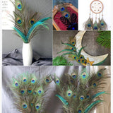 5-10PCS Natural Peacock Tail Eyes Feathers 75-80cm 26-30cm DIY Craft Vase Decor